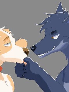 belfort and lupin